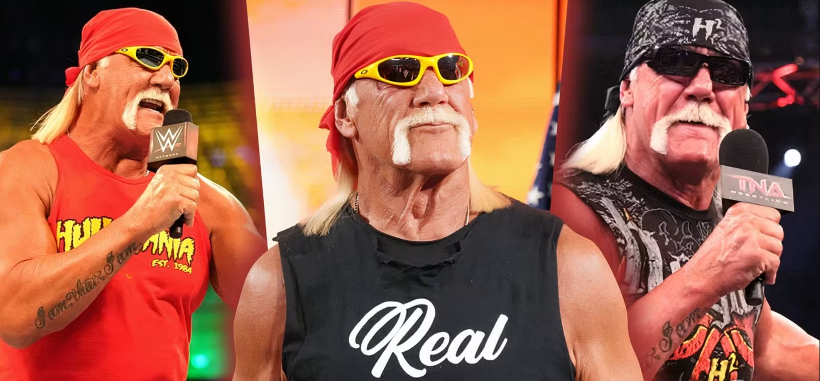 Professional wrestler Hulk Hogan dead at the age of 71, WWE says